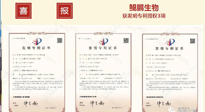 球探体育生物 | 核心平台技术获得中国发明专利