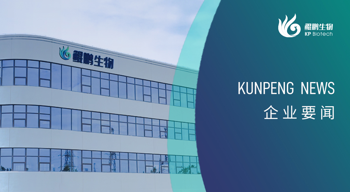 宁波球探体育新添两项政府荣誉认定 创新发展再获认可
